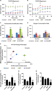 The first batch of 10,000 doses of 2dg medicine would be launched early next week, informed defence research and development organisation officials to ani on friday. Low Dose 2 Deoxyglucose And Metformin Synergically Inhibit Proliferation Of Human Polycystic Kidney Cells By Modulating Glucose Metabolism Cell Death Discovery