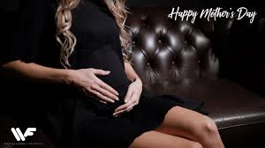 Profile for William Farhat Corp.