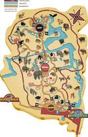 Dit park is een geweldige ervaring voor jong én oud! 29 Ideeen Over Bokrijk Safaripark Beeksebergen Bergen Safaribus Giraf Print