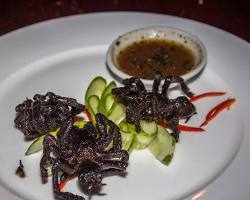 Crispy fried tarantulas for sale at a market