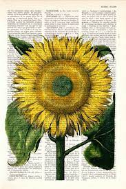 Spring Decor Sunflower Botanical Vintage Print Dictionary Etsy Book Page Art Art Sunflower Art