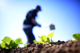 By partnering with the last prisoner project, farmer and the felon aims to bring restorative justice through the power of cannabis. 10 Cosas Que Hace Por Ti El Agricultor Y Probablemente Desconozcas Agriculturers Com Red De Especialistas En Agricultura