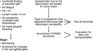 Waldenstrom Macroglobulinemia Treatment Algorithm 2018 Blood Cancer Journal