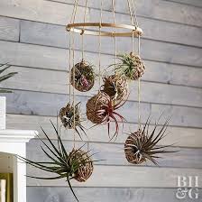 Using thread can take air plant hanging to a whole new level. This Air Plant Project Adds An Urban Touch To Any Space Hanging Air Plants Hanging Plants Hanging Plants Indoor