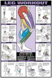Leg Workout Professional Fitness Gym Instructional Wall