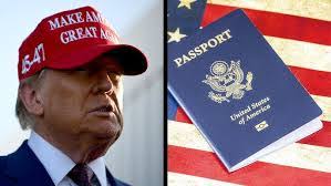 Alicia Kerber's Instagram, Twitter & Facebook