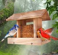 Amazon.com: Aucurwen Comederos para pájaros para colgar al ...