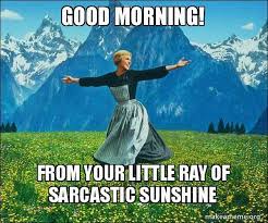 It operates in html5 canvas, so your images are created instantly on your own device. Good Morning From Your Little Ray Of Sarcastic Sunshine Sound Of Music Make A Meme