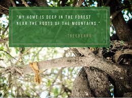 We don't belong here, merry. Crews Internship Treebeard Quote The Project On Lived Theologythe Project On Lived Theology