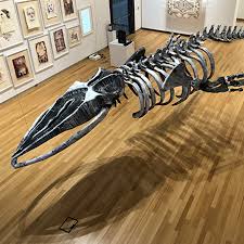 They participate in the mfa + mdes annual thesis exhibition at the henry art gallery. Past Exhibitions Exhibitions Galleries Herron School Of Art Design Indiana University Purdue University Indianapolis