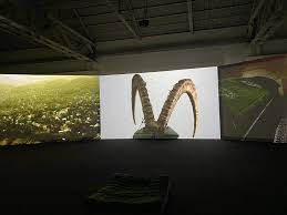 Bildergebnis für Saodat Ismailova