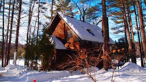 Entire cabin · 4 guests · 1 bed · 1 bath. 15 Best Airbnb Cabins To Get Cozy This Winter