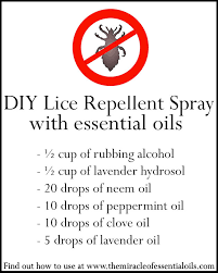 Diy Essential Oil Lice Repellent Spray That Works The Miracle Of Essential Oils