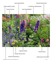 Pin Von Cyntuinen Auf Planten Plants Blumenbeet Bepflanzung Garten Pflanzen