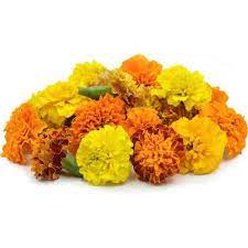 Buy Blooms Bouquets Flower Mix Marigold Zendu Flowers Online At Best Price Bigbasket