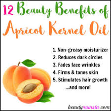 If you want shiny and healthy hair, you must use this oil. Benefits Of Apricot Kernel Oil For Hair Archives Beautymunsta Free Natural Beauty Hacks And More