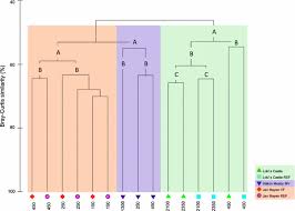 Sars in july 2008, august 2009, and july 2010.the fauna samples were sorted into main groups on board and fixed in either 96% ethanol or 6% buffered formaldehyde. The Influence Of Vent Systems On Pelagic Eukaryotic Micro Organism Composition In The Nordic Seas Springerlink