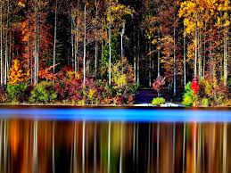 Image result for toamna poze