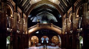 Night Safari In 2020 London Museums Museum Lates Visit London