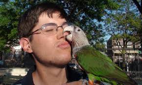 Trained Parrot