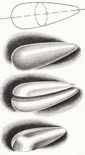 Streamlining 9 Streamline Design Streamline Organic Design