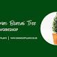 Christmas Bonsai Tree Workshop - Come and style a event image