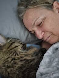 When the cat is asleep