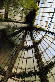 Real Jardin Botanico De Madrid Real Jardin Botanico Botanica Jardin Botanico