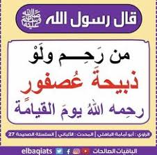 حديث اللهم اني اعوذ بك من زوال نعمتك وتحول عافيتك Pin By زهرة الياسمين On الأحاديث النبوية Home Decor Islam Hadith