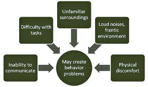 Image result for Behavior Problems in Dementia