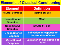 Pavlov S Experiment Vce U4 Psych