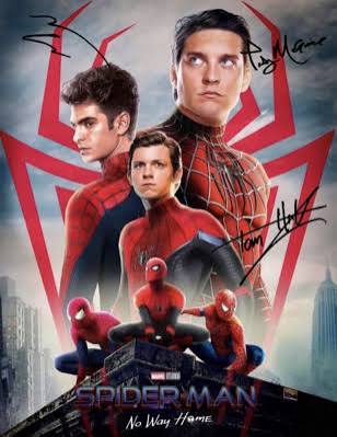 Spider-Man No Way Home Poster/Photo SIGNED REPRINT Tom Holland Garfield  Maguire