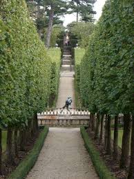 Buscot Park Faringdon Oxfordshire Rows Of Trees With High Clipped Trunks Gorgeous Gardens Famous Gardens Garden Visits