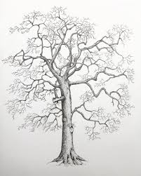 True Love Simple Bird On Tree Drawing Pin On Art