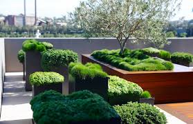 There are many roof garden design ideas, using which you can create a roof garden. 13 Questions To Ask Before Building A Rooftop Terrace Houzz Au