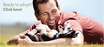 Maybe you would like to learn more about one of these? Dog Breed Selector Puppy Finder Choosing A Dog