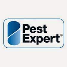 Pest expert offers pest control services in united kingdom. Pest Expert Youtube