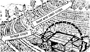 Simple Agro Livestock Technology Salt 2