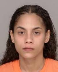 4 from New York arrested in Brainerd lakes area