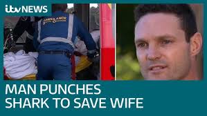 Man saves wife from shark attack with flurry of punches