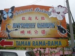 Cactus valley, pekan lama, brinchang, 39100, cameron high. Butterfly Farm Trogonoptera Brookiana Mapio Net