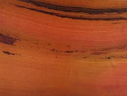 Pink Ivory Archives Cormark International Light In The Dark Wood Species Wood Grain