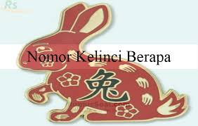 200 ribu prize iii : Nomor Kelinci Berapa 2d 3d 4d Menurut Erek Erek Dan Primbon