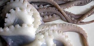 Las cocineras tradicionales de las costas gallegas (uno de los principales puertos donde se pesca este. Pulpo A La Gallega Los 10 Errores Que Lo Estropean