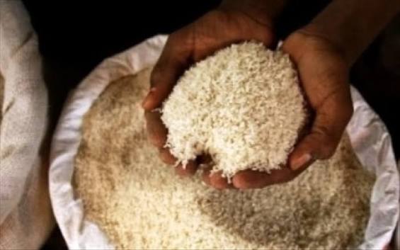 Sénégal: le riz local enrichi en micronutriments pour combler «la faim  cachée», les carences nutritionnelles - adakar.com
