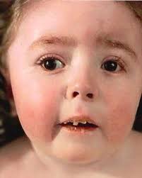 Octavian Shayde Muse Obituary February 19, 2025