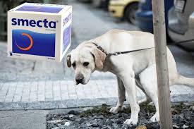 We did not find results for: Diarrhee Du Chien Peut On Donner Du Smecta A Un Chien