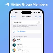 Multimedia oculta, cero uso de almacenamiento, nuevas herramientas de  dibujo, fotos de perfil para tus contactos y más