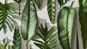 Pin On Cumpleanos Computer Wallpaper Desktop Wallpapers Desktop Wallpaper Macbook Desktop Wallpapers Backgrounds