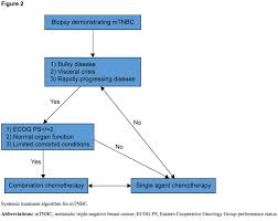 There is no targeted therapy unlike other types of breast cancer such as hormone positive and human epidermal growth factor 2 (her2) positive subtypes. A Review Of Systemic Treatment In Metastatic Triple Negative Breast Cancer Oncology Nurse Advisor